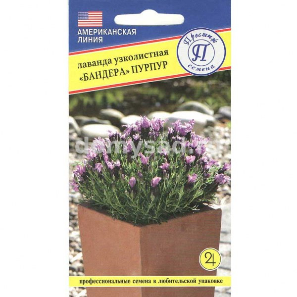 Лаванда Бандера Пурпур узколистн. 3 шт. (Престиж Семена) Ц