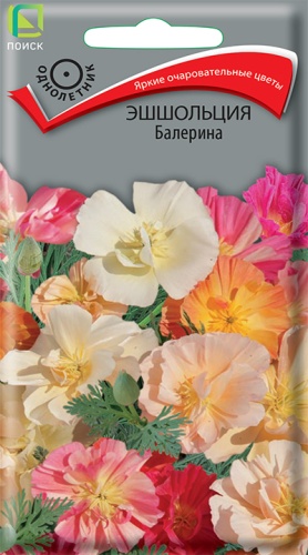 Эшшольция Балерина (Поиск) Ц