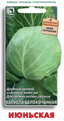 кап.Июньская б/к (Поиск) Ц