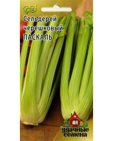 Сельдерей ЧЕРЕШКОВЫЙ Паскаль 0,1гр. Удачные семена (Гавриш) Ц