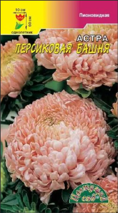 а.пионовидная Башня Персиковая (Цветущий Сад) Ц