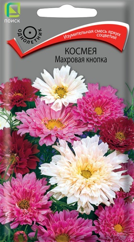 Космея Махровая кнопка (Поиск) Ц