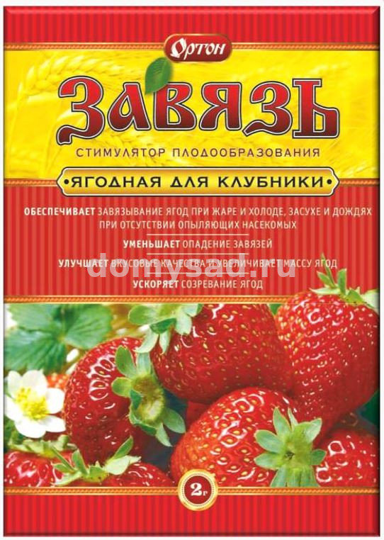 Завязь пакет 2гр. ЯГОДНАЯ для Клубники (150) 01-064 ОРТОН Стимулятор плодообразования