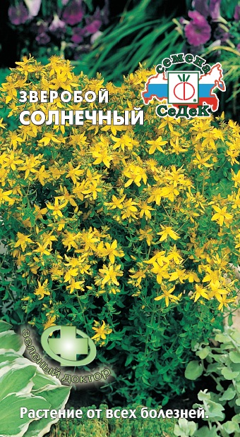 Зверобой Солнечный (Седек) Ц