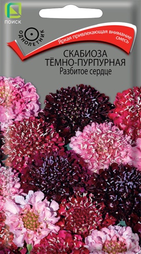Скабиоза Разбитое Сердце темно-пурпурная 10шт. (Поиск) Ц