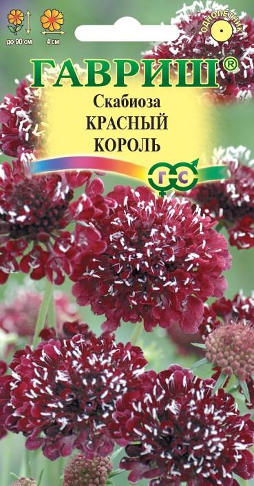 Скабиоза темно-пурпурная Красный король махр.7шт. (Гавриш) Ц