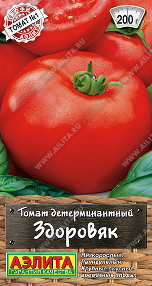 т.Здоровяк(Аэлита) Ц
