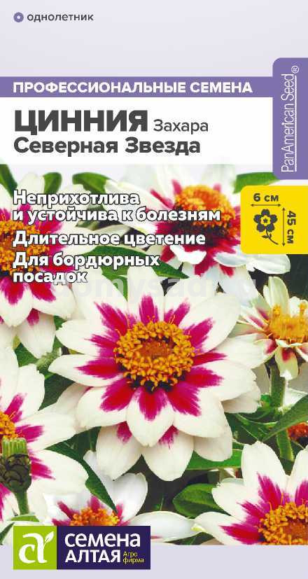 Цинния Захара Северная звезда (Семена Алтая)Ц