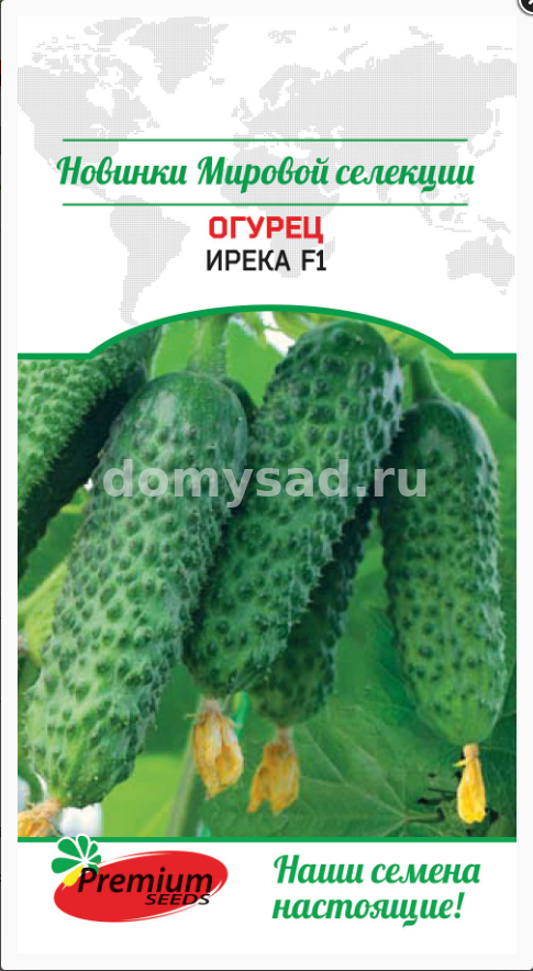 ог.Ирека F1 (RIJDER SEEDS США) (Премиум Сидс) Ц