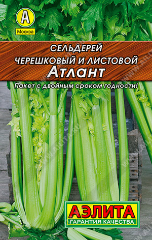 Сельдерей ЧЕРЕШКОВЫЙ Атлант (Аэлита) ЛИДЕР