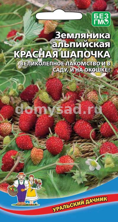 Земляника альпийская Красная шапочка (Уральский Дачник) Ц