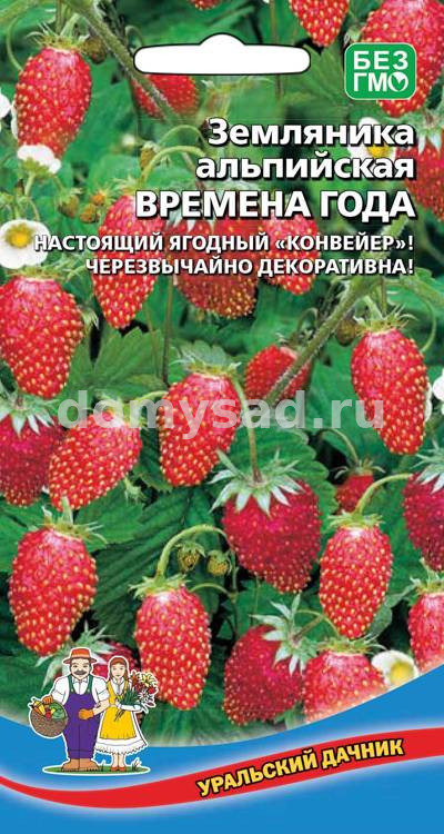 Земляника Времена Года (Уральский Дачник) Ц