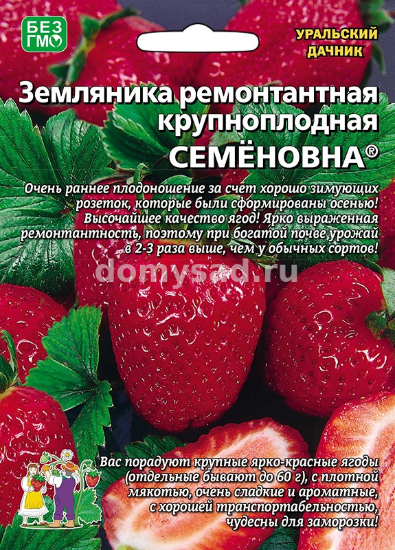 Земляника Семёновна (Уральский Дачник) Ц