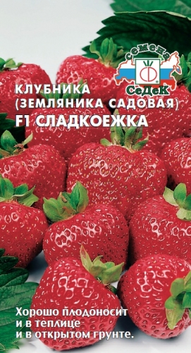 Земляника Сладкоежка ремонтантная крупноплод. (СеДек) Ц