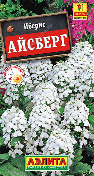 Иберис Айсберг однолетний (Аэлита) Ц