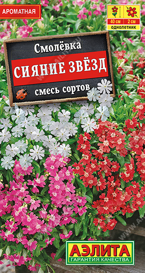 Смолевка Сияние звезд, смесь окрасок (Аэлита) Ц