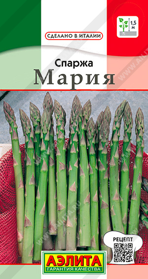 Спаржа Мария (Аэлита) Ц