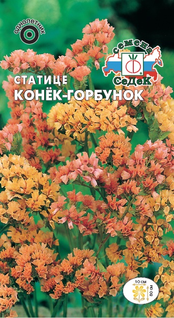 Статице Конёк-Горбунок (неж-абрикосовый) (Седек) Ц