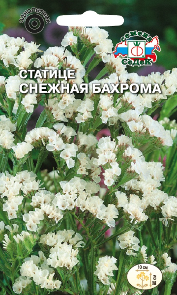 Статице Снежная бахрома (выемчатый, белый) (Седек) Ц