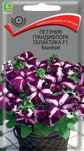 Петуния Галактика F1 Вишнёвая, грандифлор. (Поиск) Ц