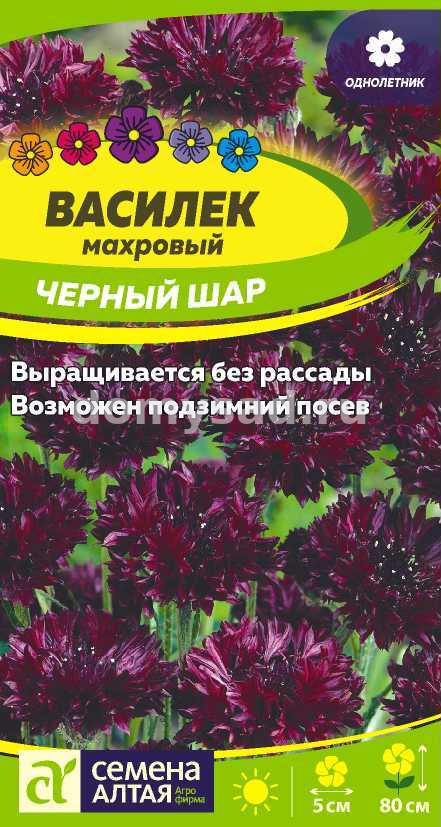 Василек Черный шар махровый (Семена Алтая) Ц