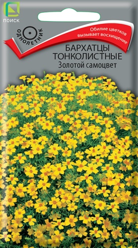 Бархатцы Золотой самоцвет тонколистные (Поиск) Ц