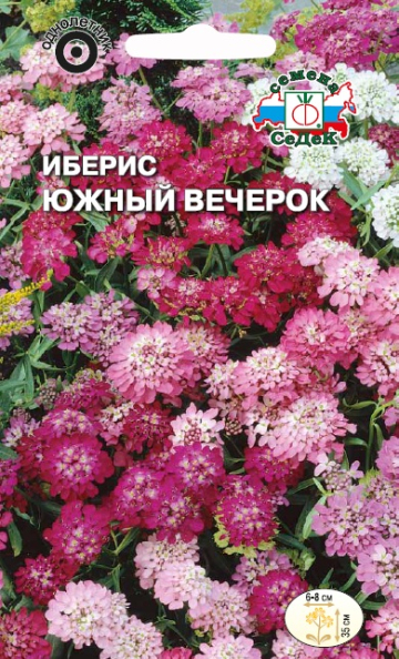 Иберис Южный Вечерок (Зонтичный, Красно-белая смесь) (Седек) Ц