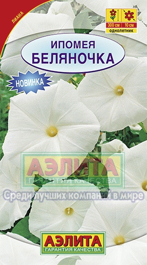 Ипомея Беляночка (Аэлита) Ц