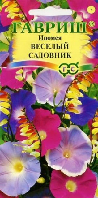 Ипомея Веселый садовник (Гавриш) Ц