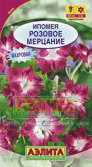 Ипомея Розовое мерцание Махровая (Аэлита) Ц