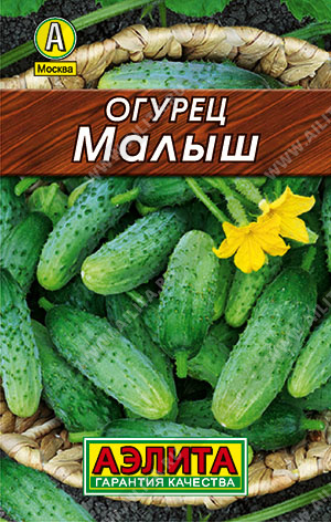 ог.Малыш (Аэлита) ЛИДЕР