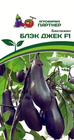 бакл.БЛЭК ДЖЕК F1 (Партнер) Ц