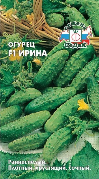 ог.Ирина (Седек) Ц