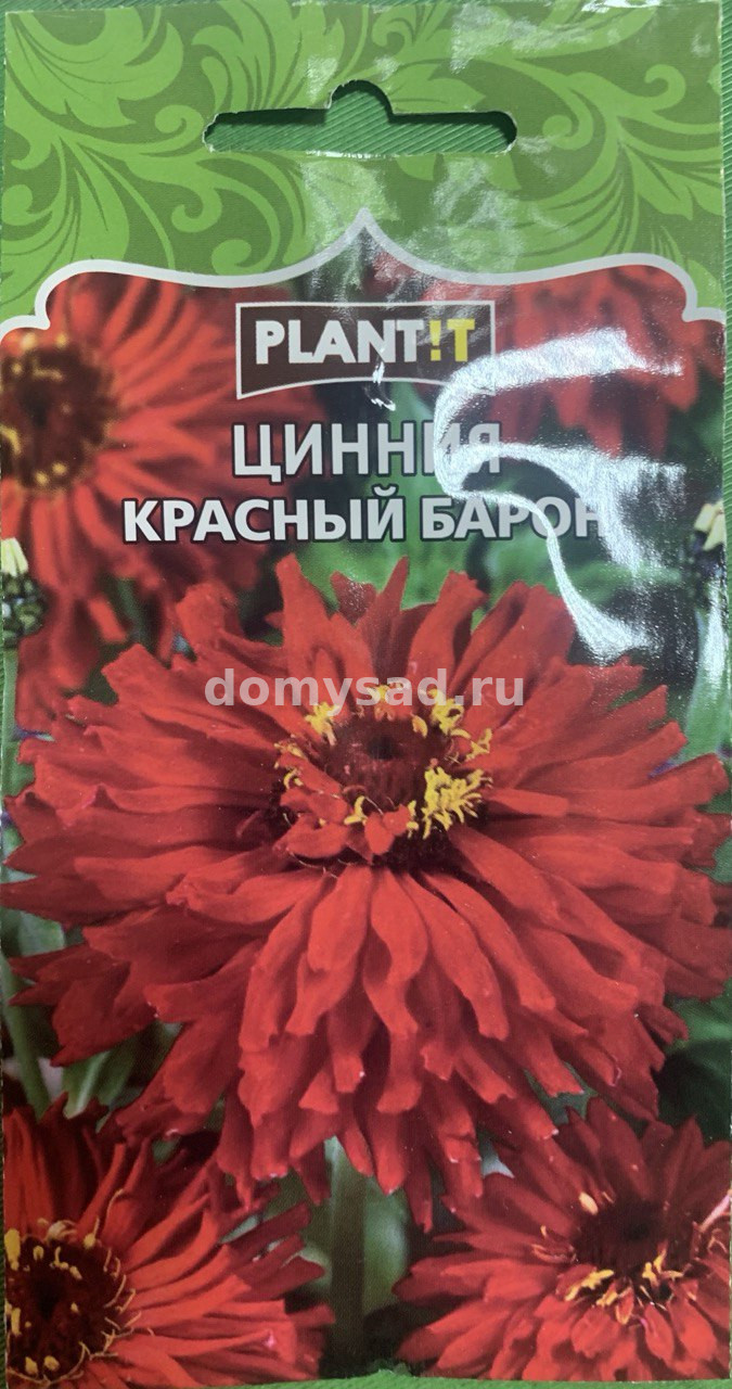 Цинния Красный Барон кактусовидная (PLANT!T) Ц