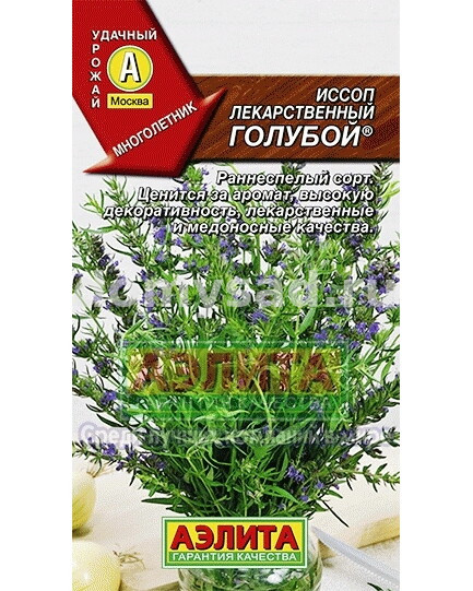 Иссоп лекарственный голубой (Аэлита) Ц