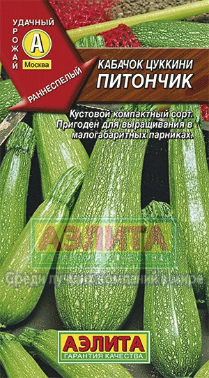 каб.цуккини Питончик (Аэлита) Ц