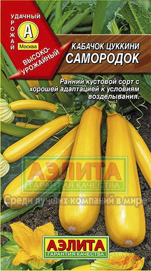 каб.цуккини Самородок ЖЕЛТЫЙ (Аэлита) Ц