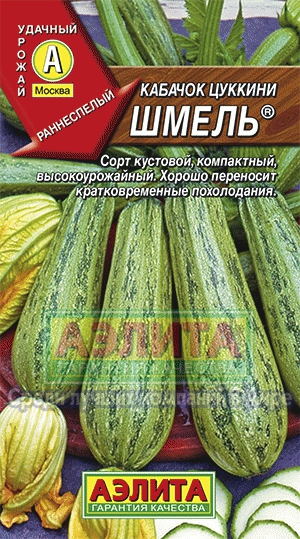 каб.цуккини Шмель ЗЕЛЕНЫЙ,КУСТОВОЙ (Аэлита) Ц