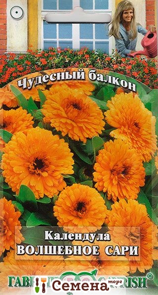 Календула Волшебное сари *Чудесный балкон (Гавриш) Ц