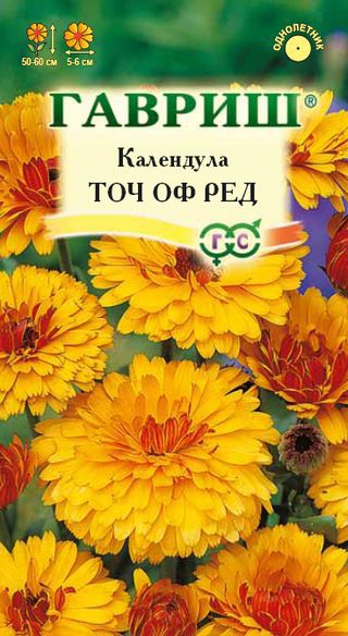 Календула Тач оф Ред (Гавриш) Ц