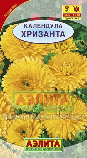 Календула Хризанта (Аэлита) Ц