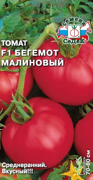 т.Бегемот малиновый Ц (Седек)