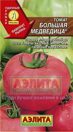 т.Большая медведица (Аэлита) Ц