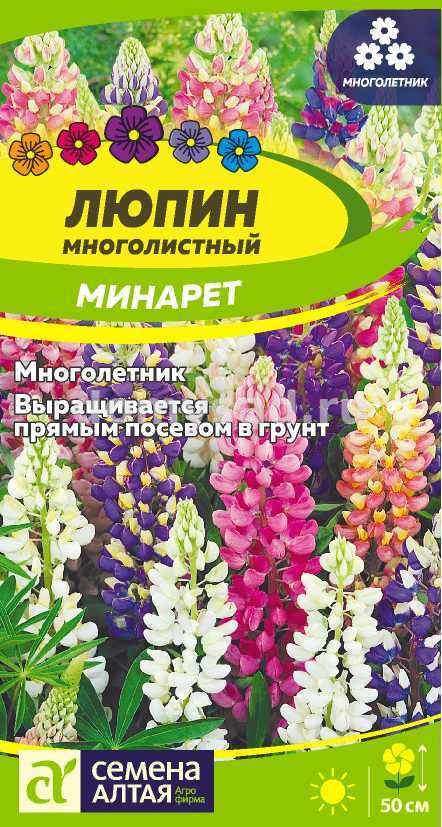 Люпин Минарет (Семена Алтая) Ц