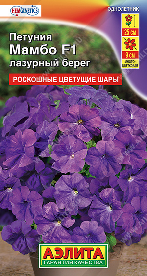 Петуния Мамбо F1 лазурный берег (Аэлита) Ц