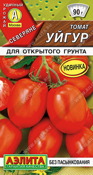 т.Уйгур (Аэлита)Ц