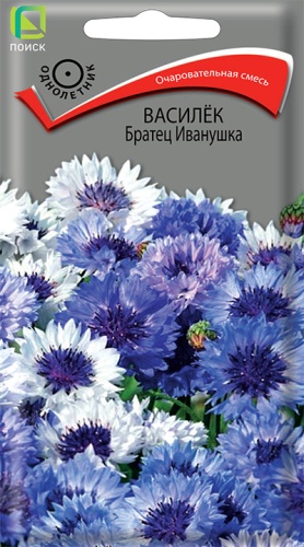 Василек Братец Иванушка (Поиск) Ц