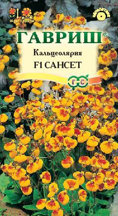 Кальцеолярия Сансет F1 (Гавриш) Ц