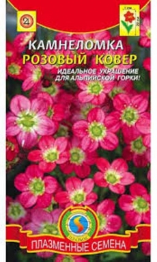 Камнеломка Розовый ковер (Агроника) Плазменные семена Ц