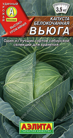 кап.Вьюга б/к,Один из лучших сортов сиб.селекции для хранения! (Аэлита) Ц